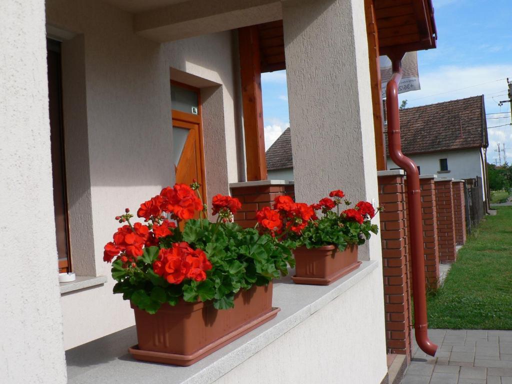 Oazis Apartmanok Mórahalom Exterior foto